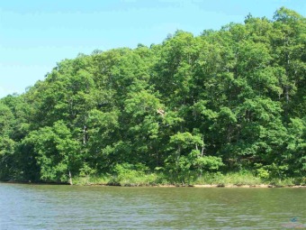 Lake Acreage Off Market in Edwards, Missouri