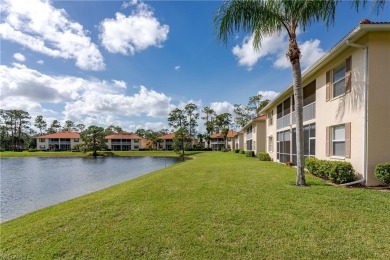 (private lake, pond, creek) Home For Sale in Naples Florida