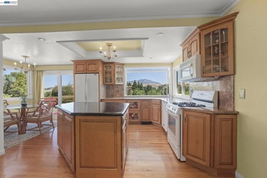 Exceptional Views, Exceptional Lifestyle Mount Diablo Retrea - photo 13