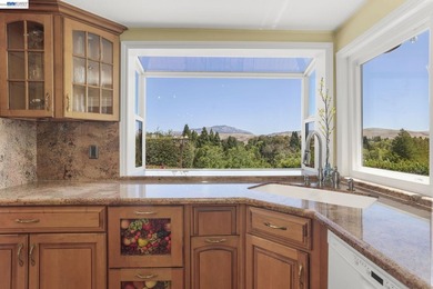 Exceptional Views, Exceptional Lifestyle Mount Diablo Retrea - photo 14