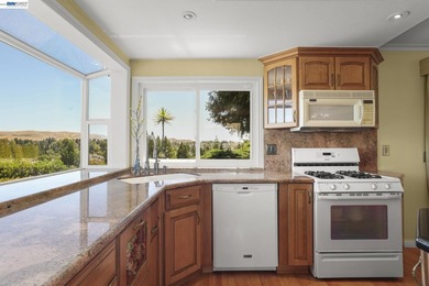 Exceptional Views, Exceptional Lifestyle Mount Diablo Retrea - photo 15
