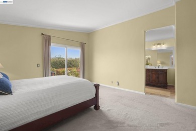 Exceptional Views, Exceptional Lifestyle Mount Diablo Retrea - photo 20