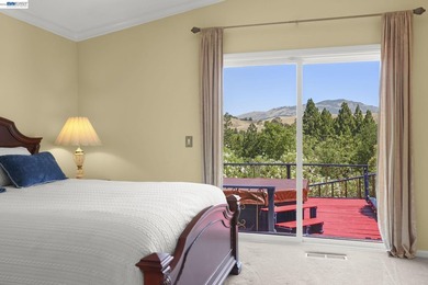 Exceptional Views, Exceptional Lifestyle Mount Diablo Retrea - photo 21