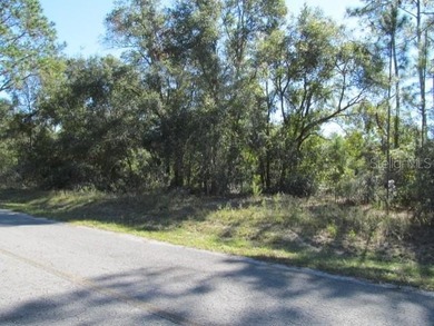Crystal Lake - Marion County Lot For Sale in Ocklawaha Florida