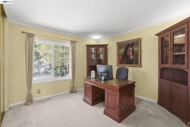 Exceptional Views, Exceptional Lifestyle Mount Diablo Retrea - photo 24