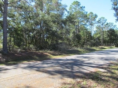 Beautiful .40 acre corner lot in Woods & Lakes.  Lot is - photo 4
