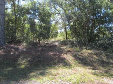 Beautiful .40 acre corner lot in Woods & Lakes.  Lot is - photo 5