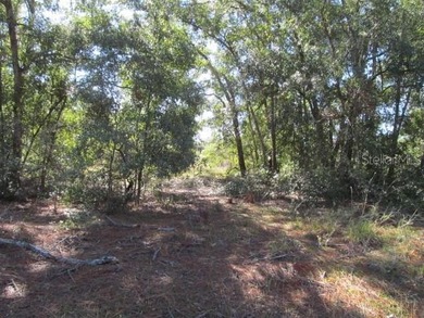 Beautiful .40 acre corner lot in Woods & Lakes.  Lot is - photo 6