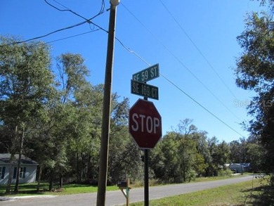 Beautiful .40 acre corner lot in Woods & Lakes.  Lot is - photo 7