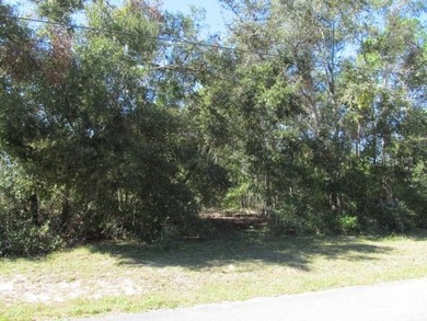Beautiful .40 acre corner lot in Woods & Lakes.  Lot is - photo 9