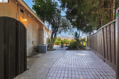 Exceptional Views, Exceptional Lifestyle Mount Diablo Retrea - photo 33