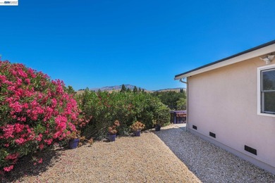 Exceptional Views, Exceptional Lifestyle Mount Diablo Retrea - photo 39