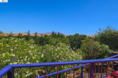 Exceptional Views, Exceptional Lifestyle Mount Diablo Retrea - photo 40
