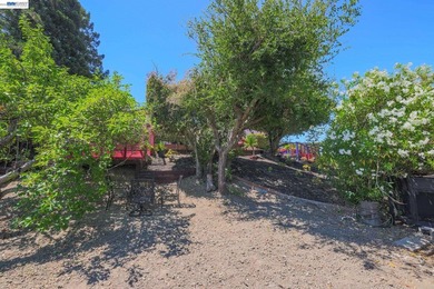Exceptional Views, Exceptional Lifestyle Mount Diablo Retrea - photo 41