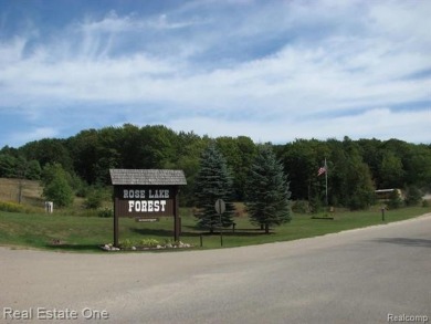 Lake Lot For Sale in Leroy, Michigan