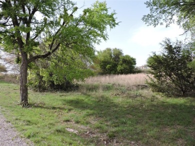 Lake Lot For Sale in Willow Park, Texas