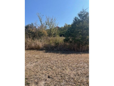 Table Rock Lake - Boone County Lot For Sale in Holiday Island Arkansas