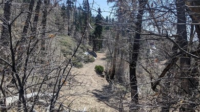 San Antonio Dr - photo 8