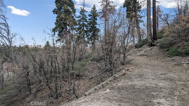 San Antonio Dr - photo 10