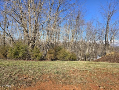 Boone Lake Lot Sale Pending in Piney Flats Tennessee