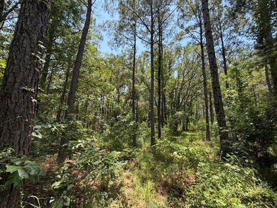 Seminole Ridge Community...off the grid but sitll connected - photo 12