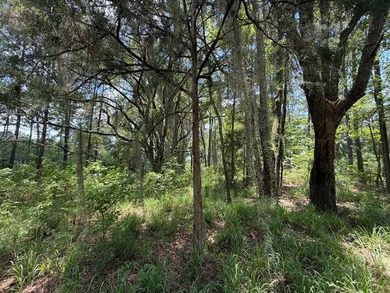 Seminole Ridge Community...off the grid but sitll connected - photo 13