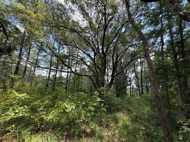 Seminole Ridge Community...off the grid but sitll connected - photo 14