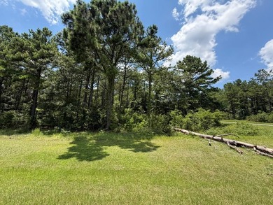 Seminole Ridge Community...off the grid but sitll connected - photo 17