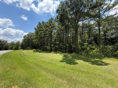 Seminole Ridge Community...off the grid but sitll connected - photo 18