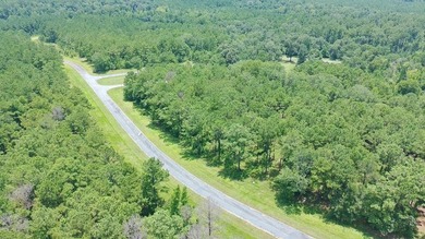 Seminole Ridge Community...off the grid but sitll connected - photo 26