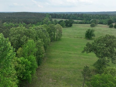 (private lake, pond, creek) Acreage For Sale in Broken Bow Oklahoma