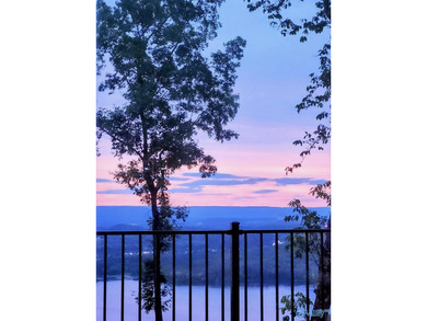 Perched on nearly 4+/- private acres with a breathtaking bluff - photo 12
