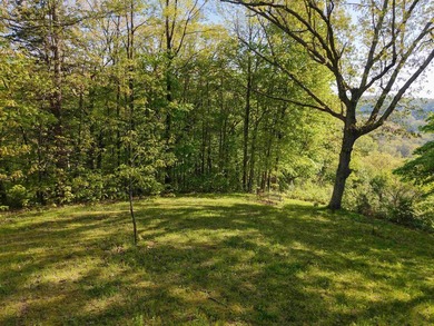 Amazing location for your new home or weekend getaway. 2 parcels - photo 16