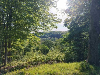 Amazing location for your new home or weekend getaway. 2 parcels - photo 18