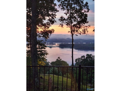Perched on nearly 4+/- private acres with a breathtaking bluff - photo 19