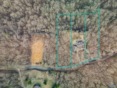 Perched on nearly 4+/- private acres with a breathtaking bluff - photo 49