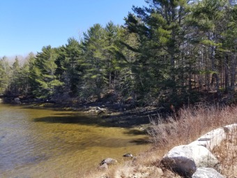 (private lake, pond, creek) Acreage For Sale in Brooklin Maine
