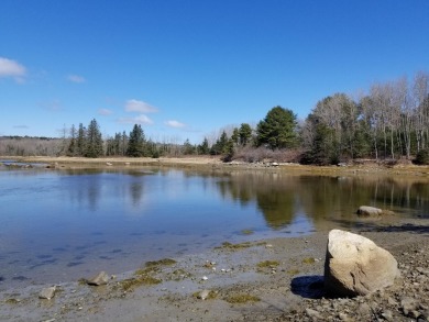 Lake Acreage For Sale in Brooklin, Maine