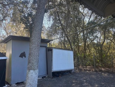 Located in Hog valley area...land with more trees than people - photo 30