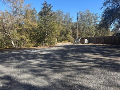 Located in Hog valley area...land with more trees than people - photo 32