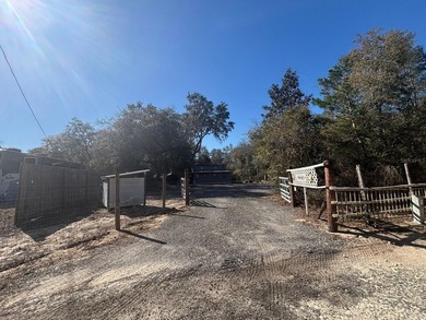 Located in Hog valley area...land with more trees than people - photo 33