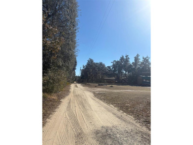 Located in Hog valley area...land with more trees than people - photo 34
