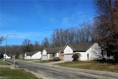 WELCOME to the GORGEOUS Villas at Firestone Park Development! - photo 4