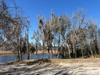 Located in Hog valley area...land with more trees than people - photo 35