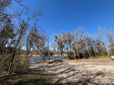 Located in Hog valley area...land with more trees than people - photo 36