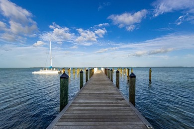 Welcome to Tranquility, an exceptional three-bedroom oceanfront - photo 38