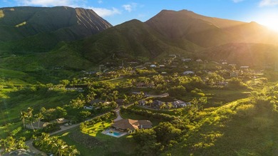 Welcome to your own slice of paradise in the coveted Launiupoko - photo 44