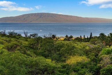 Welcome to your own slice of paradise in the coveted Launiupoko - photo 47
