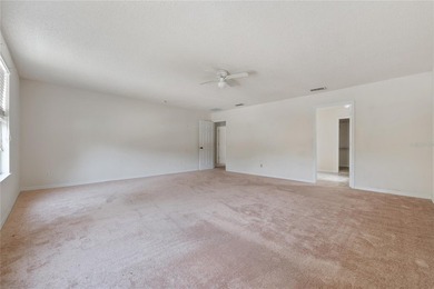 Welcome to 115 Walnut Crest Run, a spacious, sun-drenched - photo 13