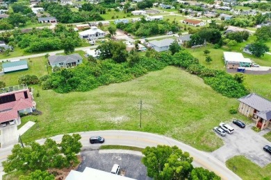 Punta Gorda Isles Area Lot For Sale in Punta Gorda Florida